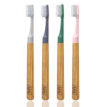 TePe Choice toothbrush and three brush heads (Box of 14pcs assorted)